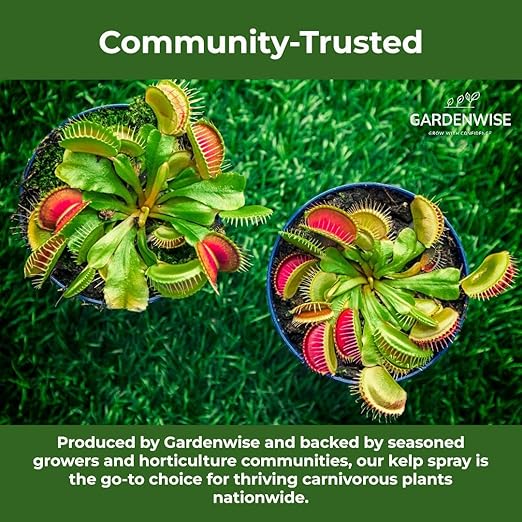 100% Organic Marina Mist Carnivorous Plant Food | Liquid Kelp Foliar Spray for Plants - Kelp Fertilizer for Venus Flytraps, Sundew, Butterworts, Pitcher Plants 16 Oz-VerdiqueGarden