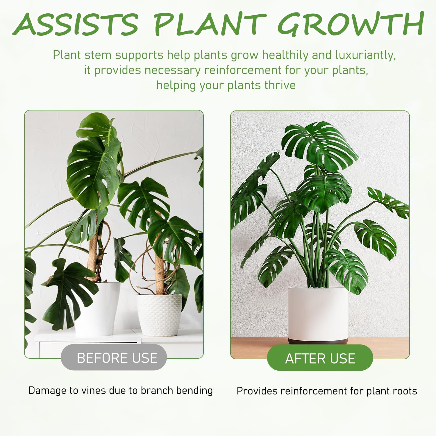 4-Pack Plant Stem Support, Plant Stabilizer for Indoor Plants, Monstera Plant Support System, Plant Stem Holder for Fixing Green Plants and Vines (A)-VerdiqueGarden