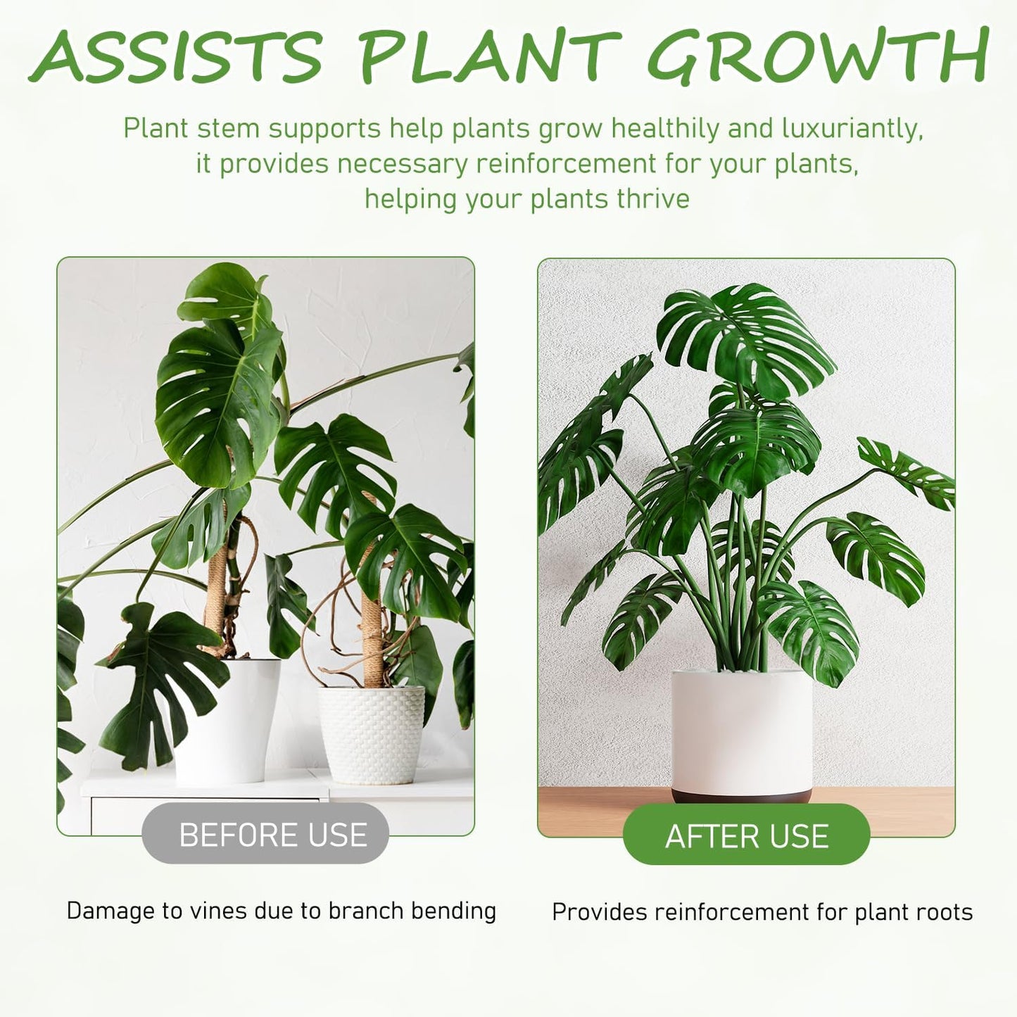 4-Pack Plant Stem Support, Plant Stabilizer for Indoor Plants, Monstera Plant Support System, Plant Stem Holder for Fixing Green Plants and Vines (B)-VerdiqueGarden