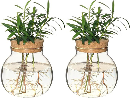 Plant Propagation Station,Hydroponic Terrarium Vase,Desktop Glass Planter Station,for Houses,Garden Decorations,ropagating Hydroponic Plants,Centerpiece Office,Home Garden Decor (2)-VerdiqueGarden