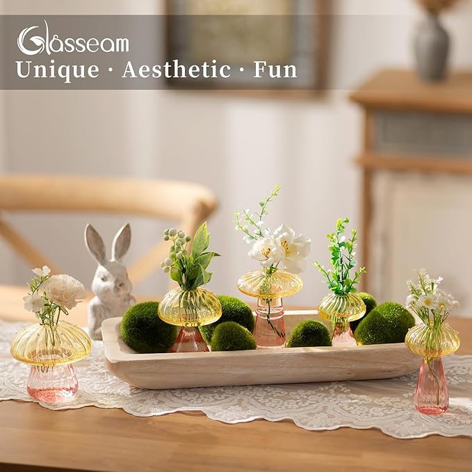 Glasseam Mushroom Plant Propagation Stations: Colored Glass Terrarium Jar Set of 5 Cute Planters for Indoor Plants Mini Propagate Station Unique Christmas Birthday Gifts for Women Home Office Decor-VerdiqueGarden