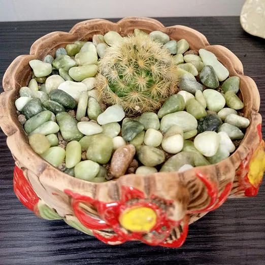 10LB Succulent Jade Pebbles for Landscaping, 3/8 Inch Natural Decorative Polished Stones, River Rocks for Landscaping, Vase, Flowerpot Decoration, Indoor Decoration and Garden Decoration-VerdiqueGarden