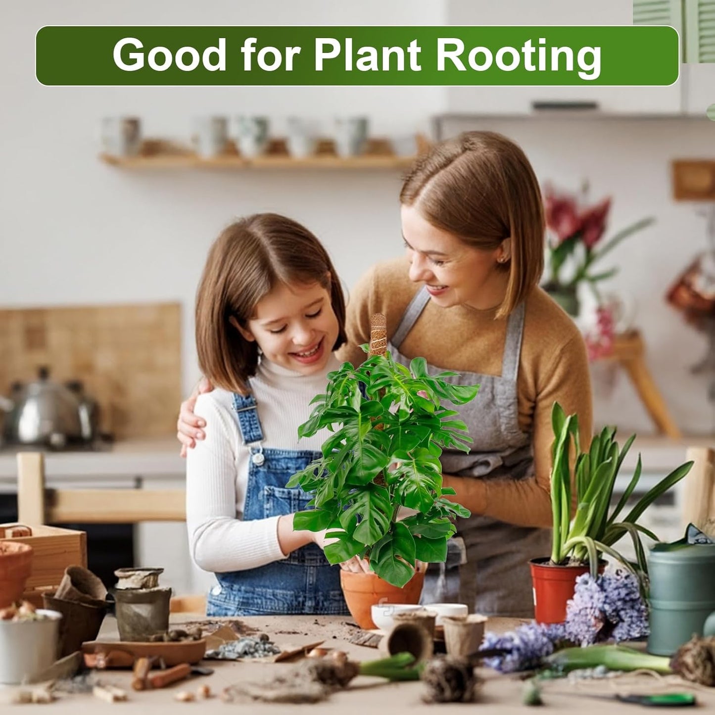 2 Pack 63'' Bendable Moss Pole Monstera Plant Support for Indoor Climbing Plants, Tall Plant Stick Support Stake for Potted Plants, Pothos, Philodendron-VerdiqueGarden