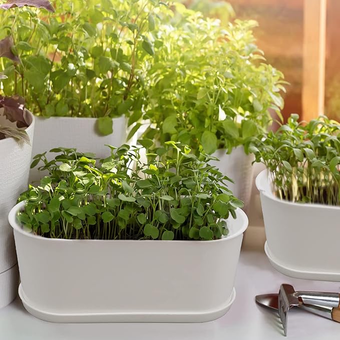 10-Pack Herb Planter with Saucer for Plant Window Box, Plastic Planter with Multiple Drainage Holes and Tray for home Garden Succulents Modern Decorative Window Planter Box Flower Pots Gardening Pot-VerdiqueGarden