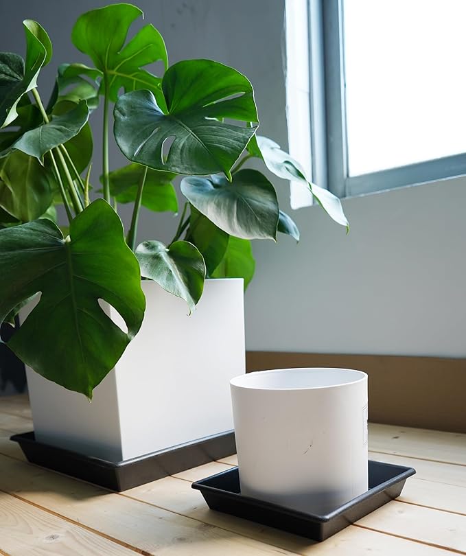 Square Plant Saucer 14 Inch 5 Pack 8 12 14 16 18 20 Plant Trays for Pots Heavy Duty Plastic Plant Saucers for Indoors Outdoors, Flower Pot No Holes Plant Drip Trays-VerdiqueGarden