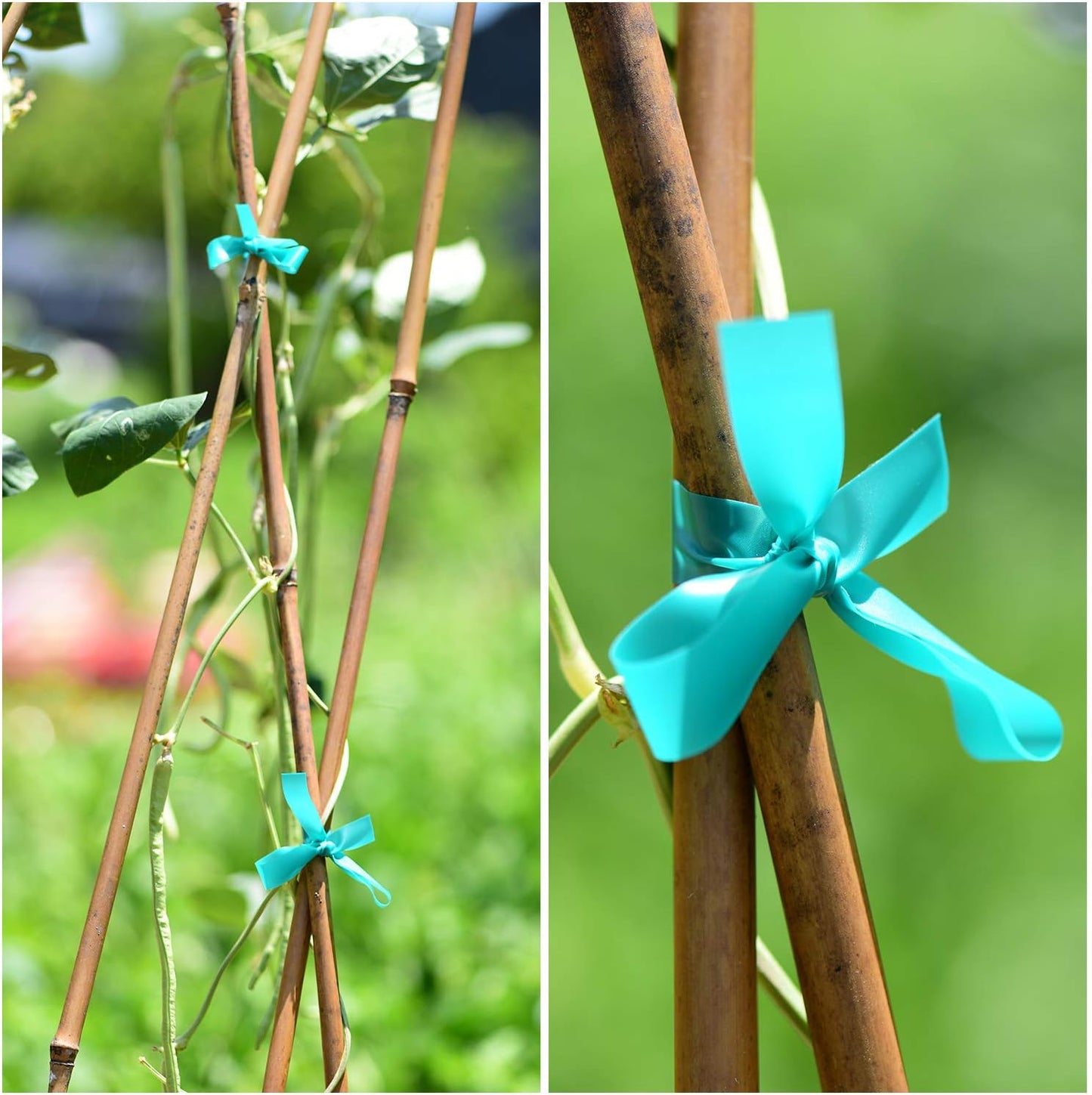 2 Pcs 150 Feet x 1/2" Wide Stretch Tie Tape Green Plant Garden Tie, Garden Vinyl Stake for Branches, Climbing Planters, Flowers-VerdiqueGarden