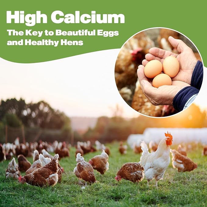 22LB Dried Black Soldier Fly Larvae, 2 Pack of 11 LBS, 86X Calcium Than Dried Mealworms, High Protein Non-GMO Organic Chicken Feed-VerdiqueGarden