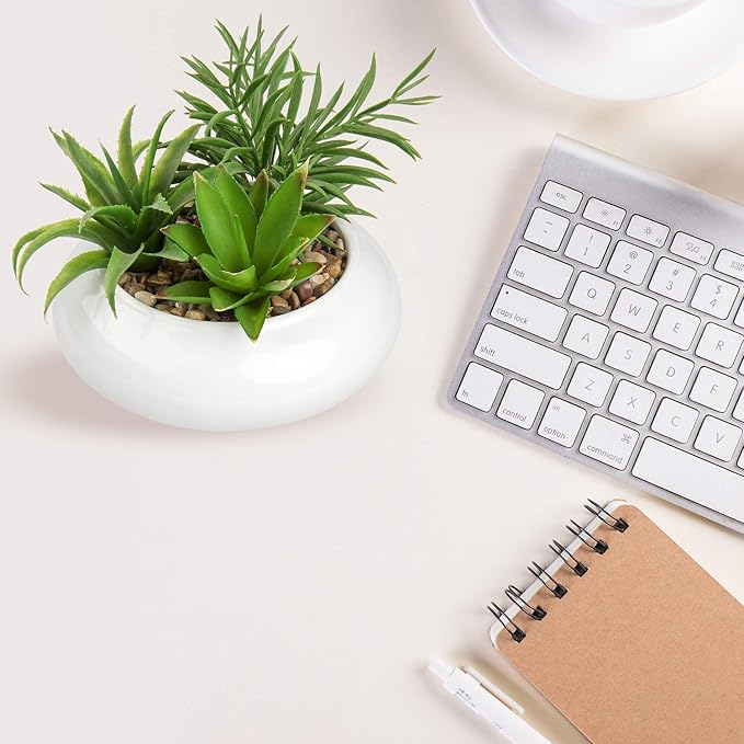 Hollyone Large Artificial Succulents Plants Faux Succulents in Pots Fake Succulent Plastic Potted Plants with White Ceramic Pot for Home Decor Office Desk Bathroom Shelf Living Room Decoration-VerdiqueGarden