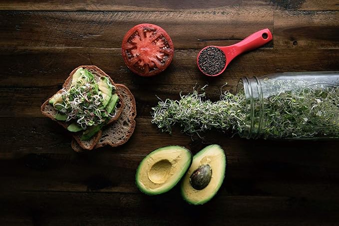 Broccoli Seeds for Sprouting & Microgreens | Waltham 29 Variety | Non GMO & Heirloom Seeds | Bulk 1 LB (16 oz) Resealable Bag | Rainbow Heirloom Seed Co.-VerdiqueGarden