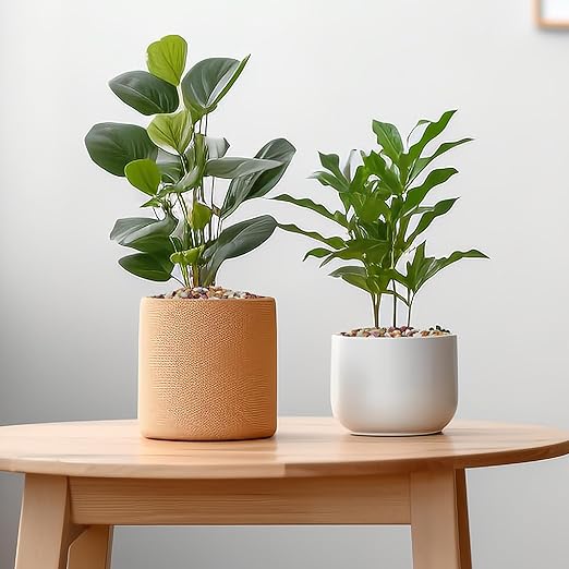 5 lbs Pebbles for Indoor Plants, Succulent Rocks, 3/8" Polished Pebbles for Bamboo, Vase, Terrarium, Natural Decorative Small River Rocks for Crafts, Cactus, Outdoor Garden Landscaping-VerdiqueGarden