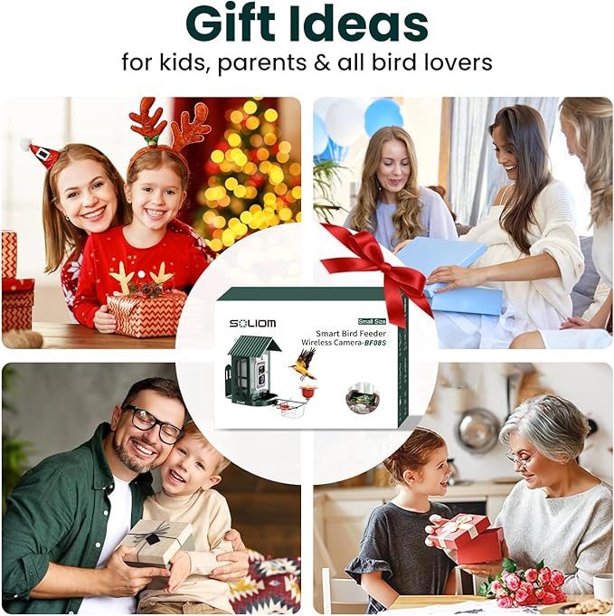 SOLIOM Solar Bird Feeder with Camera for Outdoors - AI Smart Birdhouse, 2K Live View & Instant Alerts, Squirrel Proof - Perfect Bird Watching Gift (Green)-VerdiqueGarden