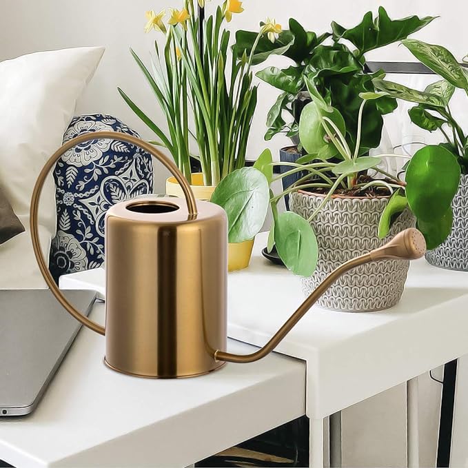 1/2 Gallon 68oz Long Spout Stainless Steel Gold Colored Watering Can for Indoor Plant Watering or Outdoor Gardening with 2 Removable Spray Spout for Flowers, Medium-VerdiqueGarden