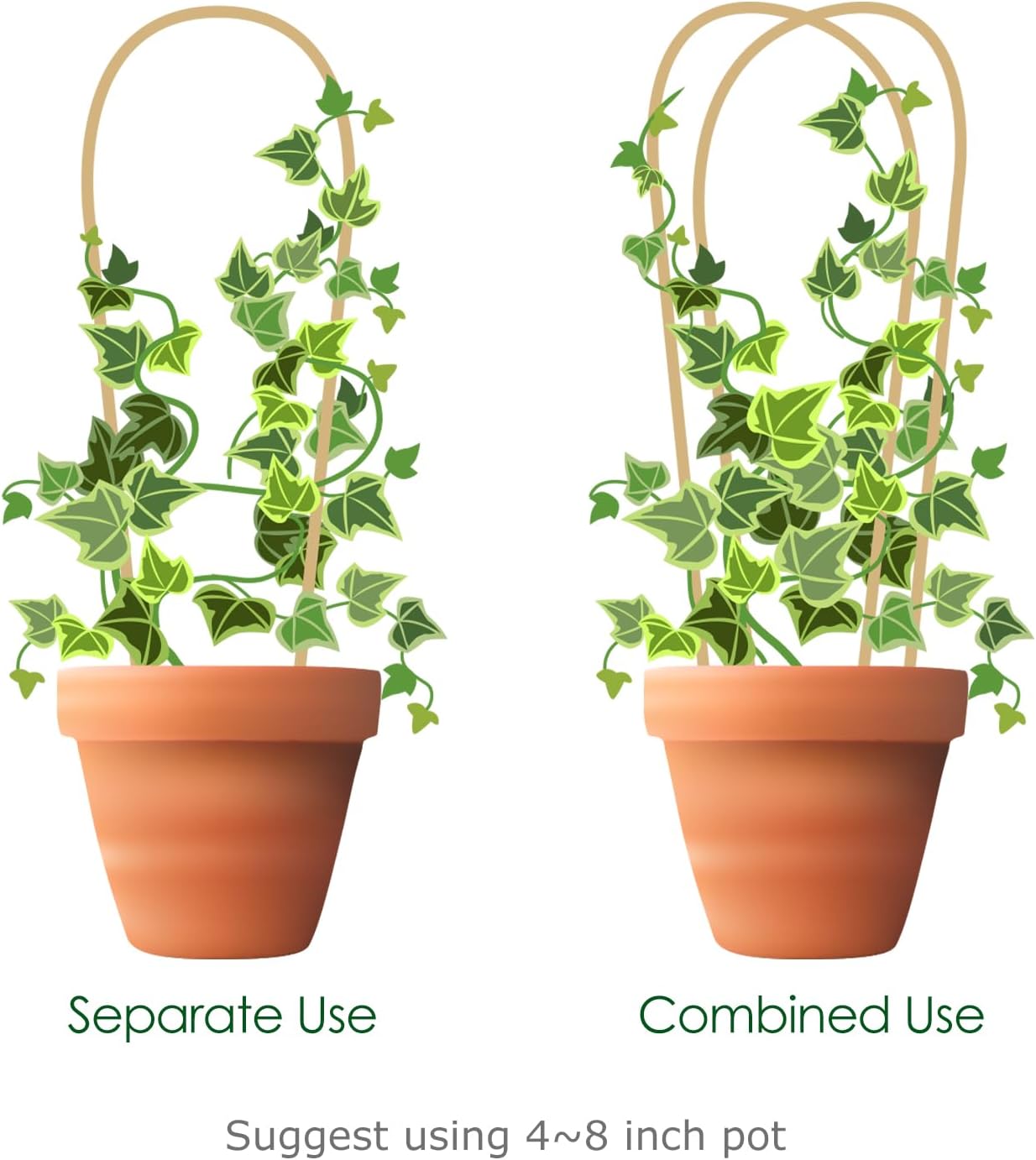 Indoor Plant Trellis for Climbing Plants 16in, 6 Pack Arch Bamboo Trellis for Potted Plants-VerdiqueGarden