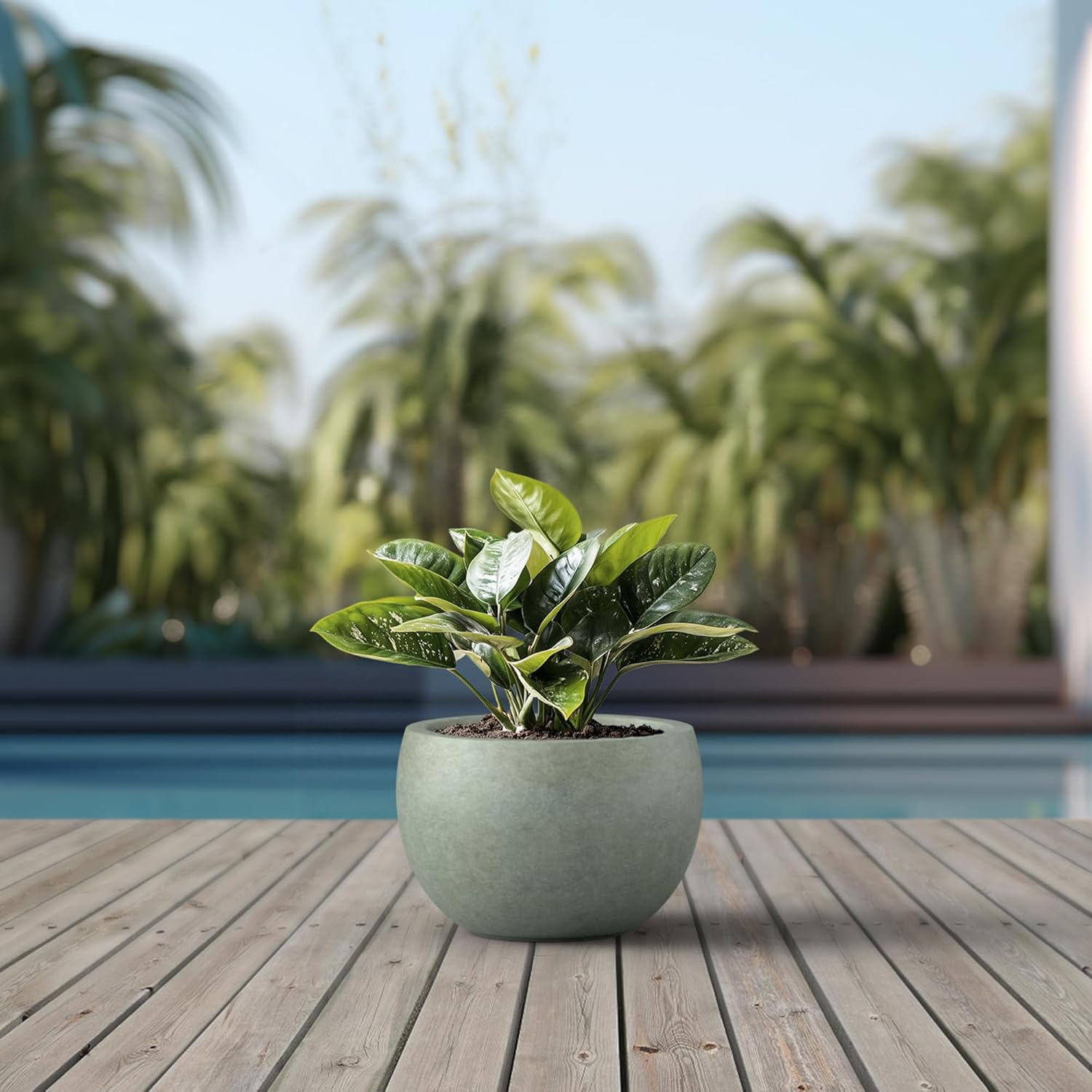 Kante 19.9" Dia Round Concrete Planter, Outdoor/Indoor Large Bowl Plant Pots with Drainage Hole and Rubber Plug for Garden Patio Balcony Home, Mint Green-VerdiqueGarden
