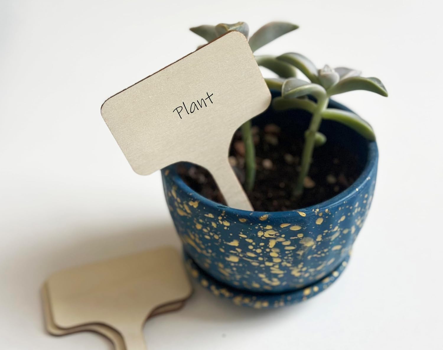 100 Pcs Wood Plant Labels, Natural Wooden Plant Marker Garden Sign Tags, T-Type Garden Markers for Succulents, Herbs, Seedlings, Potted, Flowers, Vegetables (T-Type)-VerdiqueGarden