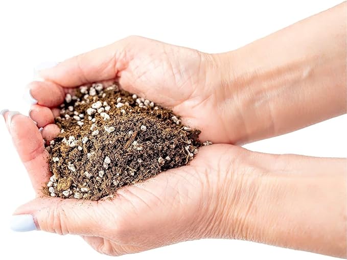 Premium Jade Plant Potting Soil Mix - (2 Quart Bag)-VerdiqueGarden