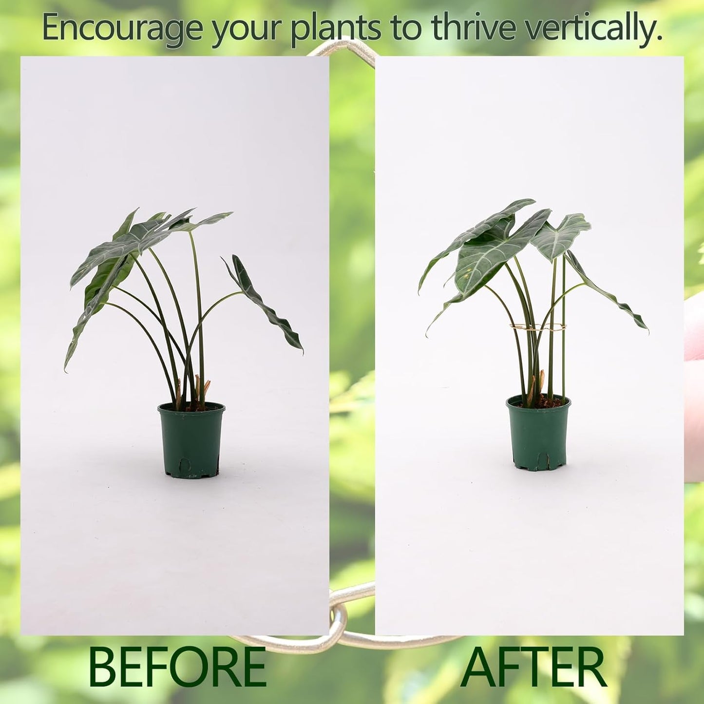 5.5 * 4.7IN Monstera Stem Support Stake with Clips - 5Pcs Durable Climbing Plant Support for Monstera, Fishbone Cactus, Easy Installation, for Plant Lovers-VerdiqueGarden