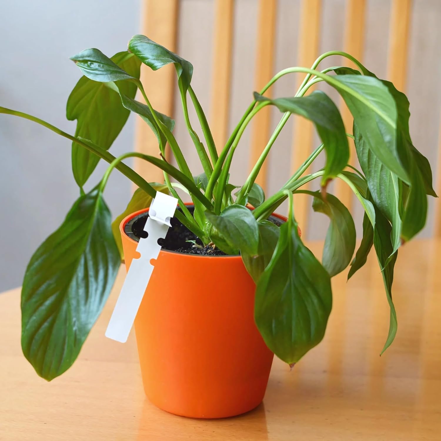 Plant Markers for Outdoor Plants Waterproof, 1500 PVC Plastic Garden Labels, Long-Lasting Flexible Plant Tags, Ideal for Outdoor Garden, Easy Organization-VerdiqueGarden