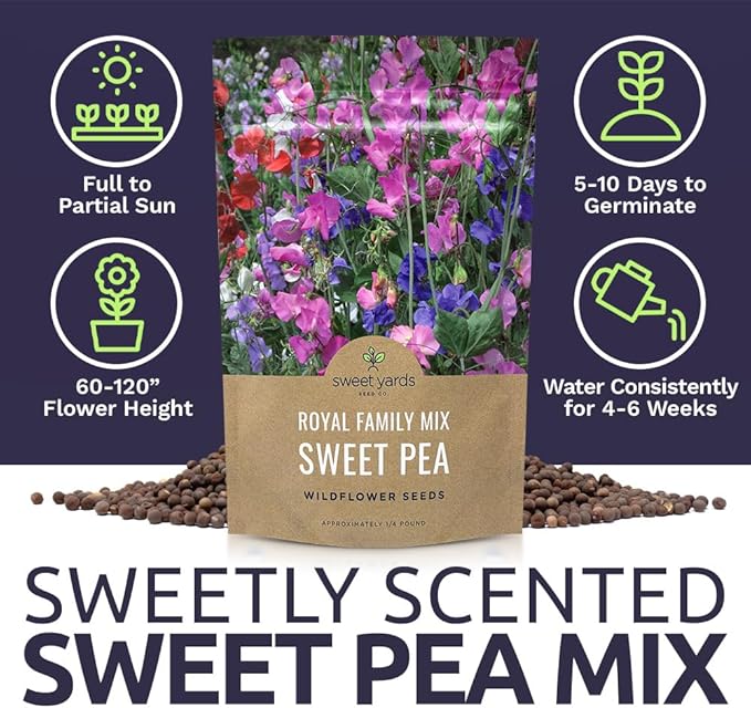 Sweet Pea Seeds Royal Mix - Bulk 1/4 Pound Bag - Over 1,400 Seeds - Large Fragrant Lavender, Purple, Red, Pink and White Blooms-VerdiqueGarden