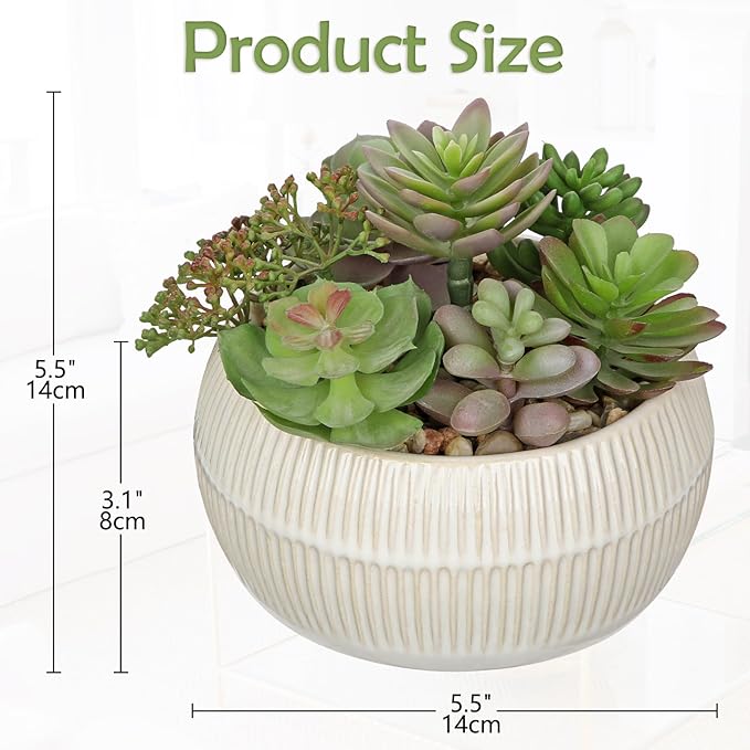 DILATATA Artificial Succulent Plants in Pot 5.5 Inch Fake Succulents Arrangement Potted Plant in White Ceramic Planter Bowl for Home Office Desk Shelf Living Room Bedroom Bathroom Decor-VerdiqueGarden