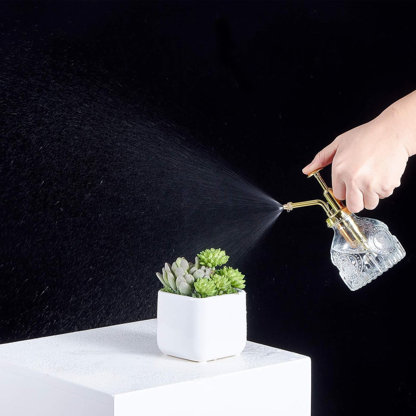 Glass Plant Mister Spray Bottle, Vintage Succulent Water Sprayer with Golden Top Pump, Small Sprayer Mister for Indoor Outdoor House Plants - Clear-VerdiqueGarden