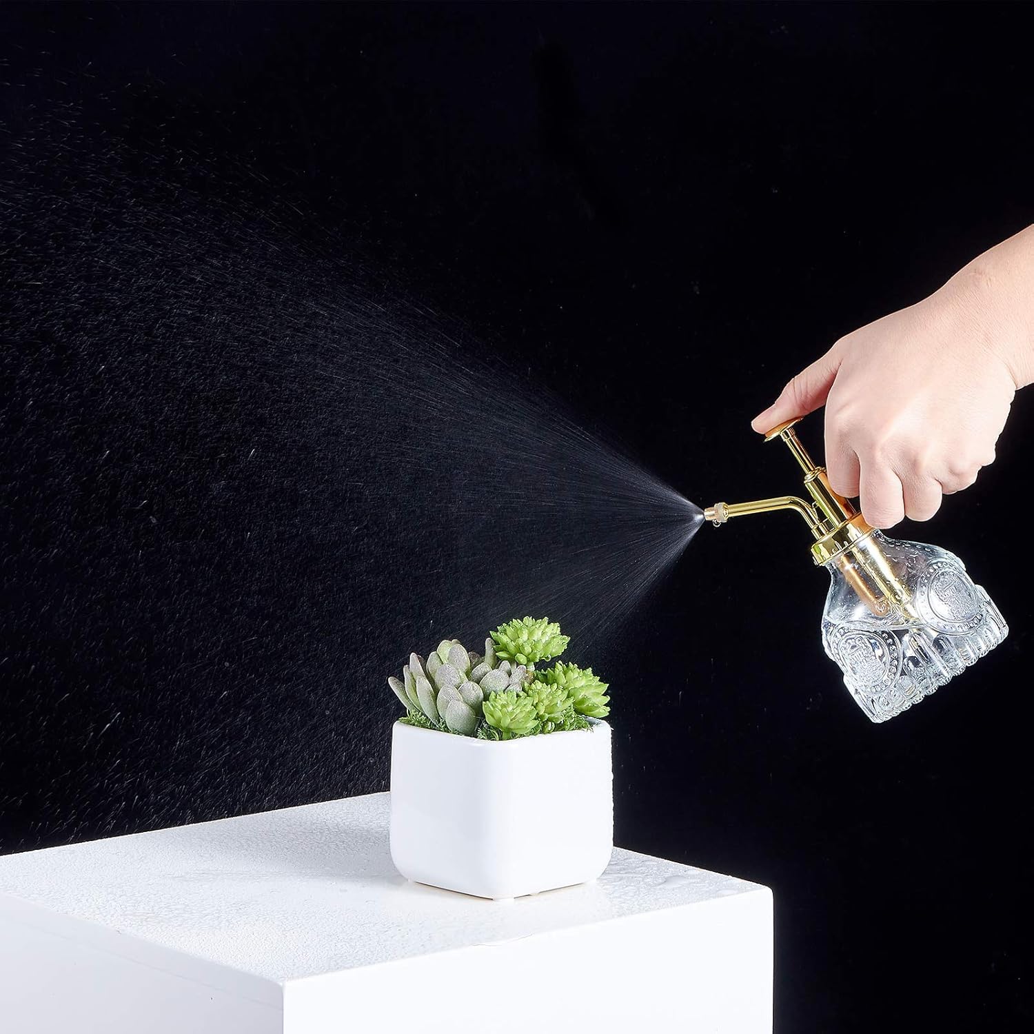 Glass Plant Mister Spray Bottle, Vintage Succulent Water Sprayer with Golden Top Pump, Small Sprayer Mister for Indoor Outdoor House Plants - Clear-VerdiqueGarden