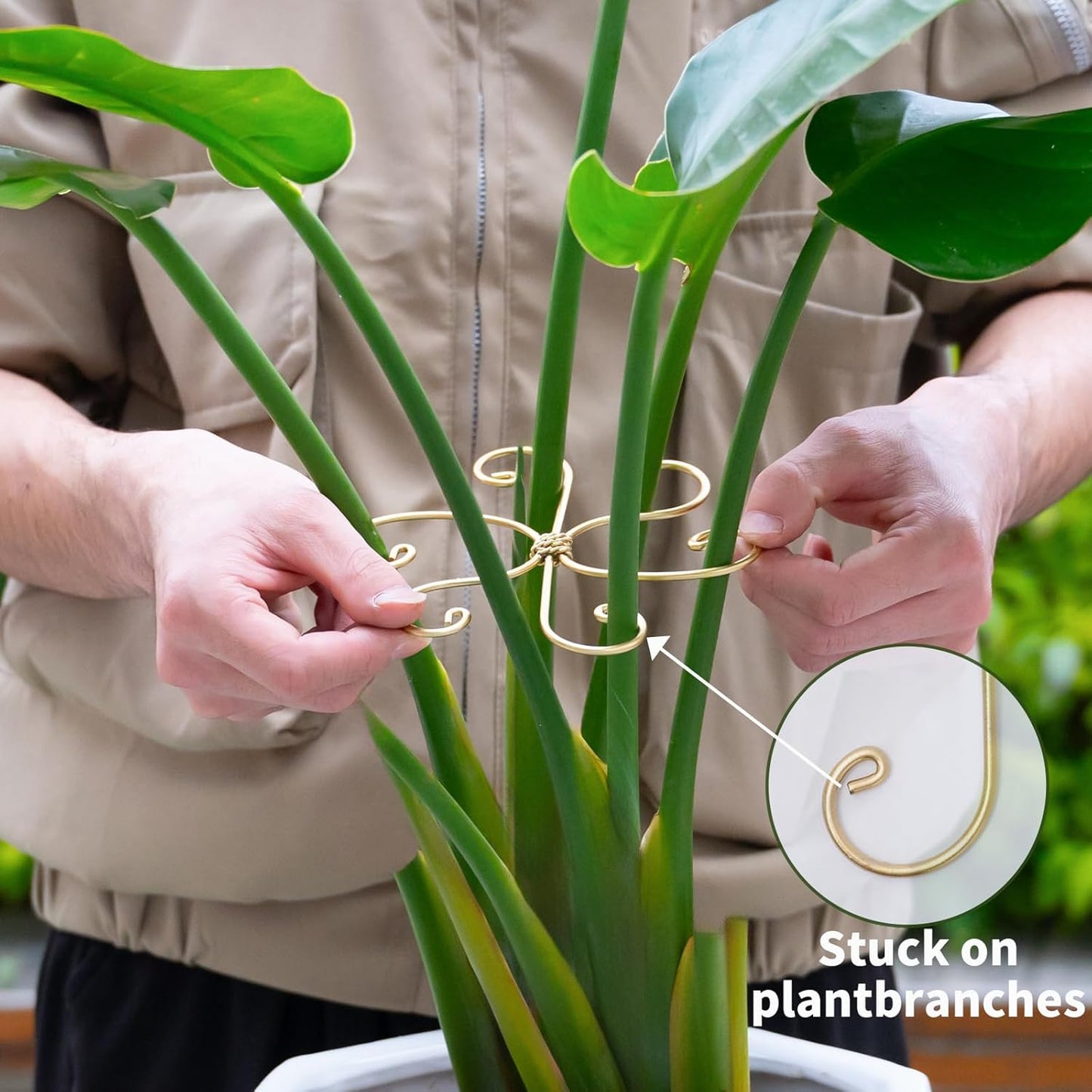 5PCS Monstera Plant Stem Support Hook - 6.5 * 6.5IN Durable Metal Stem Stabilizer for Monstera Plants and Fishbone Cactus - Gentle Protection Leaf Holder - Easy Installation - 5 Piece Set-VerdiqueGarden