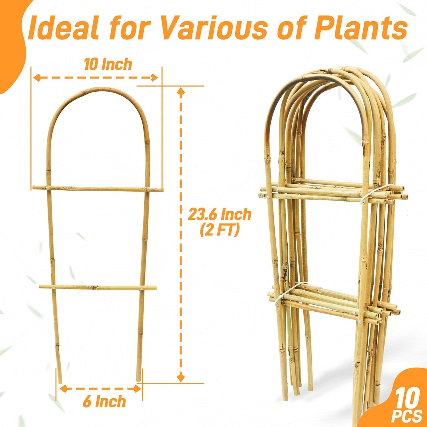 Avalution 10 Pack Bamboo U Trellis for Climbing Plants, 2ft Garden Ladder Trellis for Potted Plants Indoor, Ladder Small Plant Support Trellis for Houseplants Ivy Hoya Vine Monstera-VerdiqueGarden