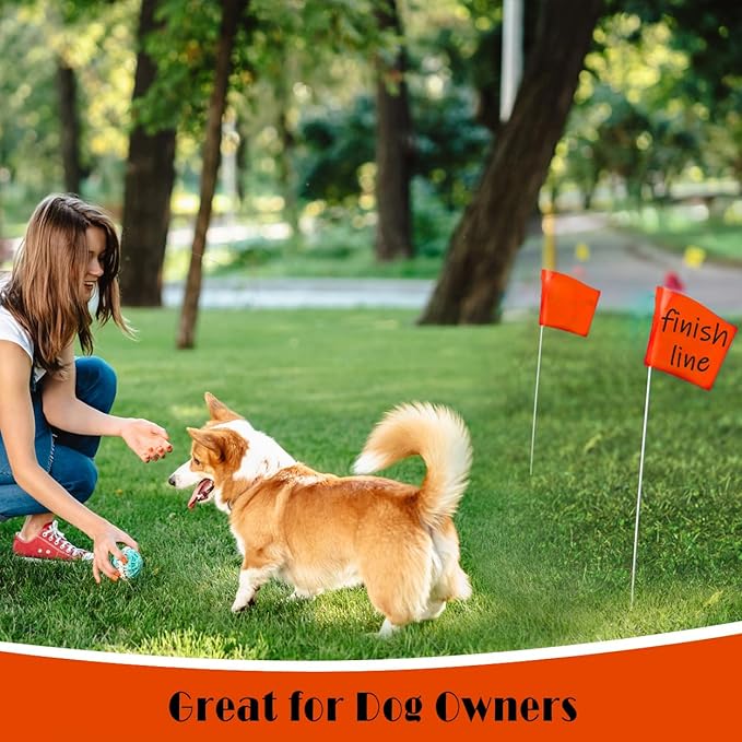 Zozen 100Pack Fluorescent Orange Marking Flags, Writable | Marker Flags - 15x4x5 Inch, Lawn Flags, Landscape Flags, Marker Flags for Lawn, Survey Flags, Irrigation Flags, Sprinkler Flags, Survey Flags.-VerdiqueGarden