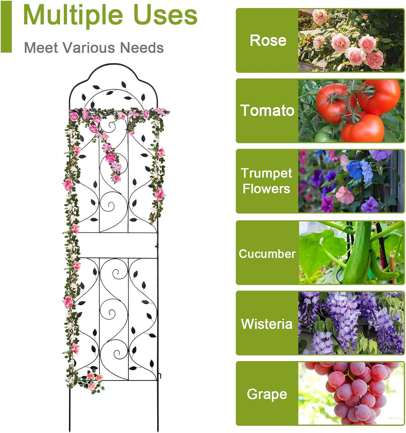 hogardeck Metal 84 * 19 Garden Trellis 2-Packs for Climbing Plants Flowers Vegetables Planting Arched Outdoor Decoration for Courtyards Lawns Gardens-VerdiqueGarden