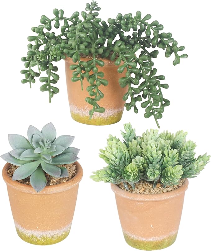 3 Pcs Artificial Succulent Plants Potted False Succulent Plants Potted Faux Potted Plant Family Office Bookshelf Decor-VerdiqueGarden