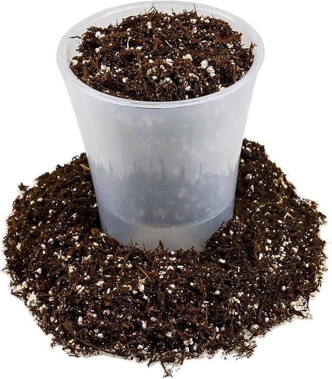 Fern + Perlite Soil Mix for Repotting and Planting Succulents and Cactuses - 2 Quart Bag-VerdiqueGarden