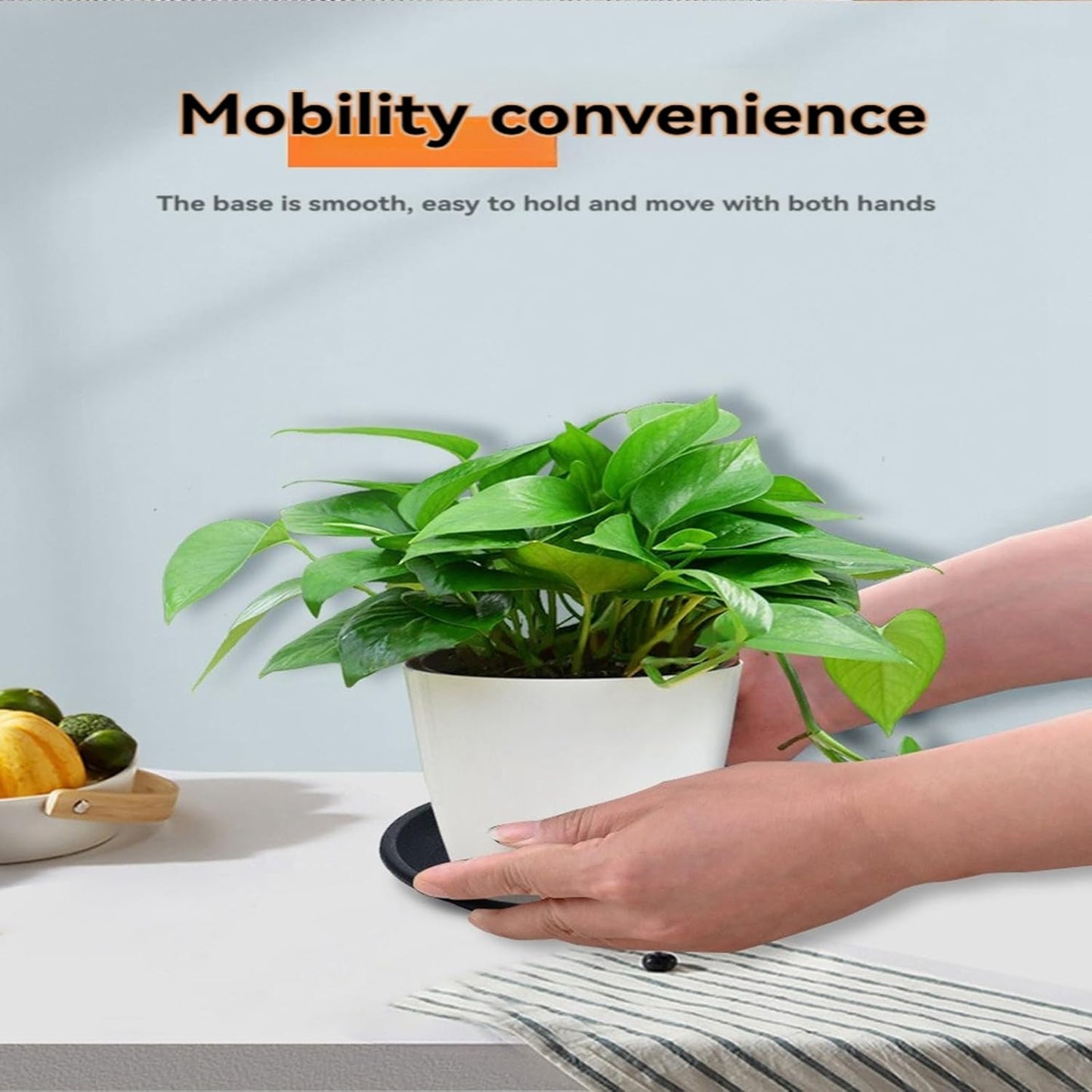 12 Pack Plant Saucer 8 10 12 Inch Plastic Plant Tray, Sturdy and Durable Flower Pot Container Accessories Plant Pot Saucers for Indoor and Outdoor (8 10 12 Inch, Black)-VerdiqueGarden