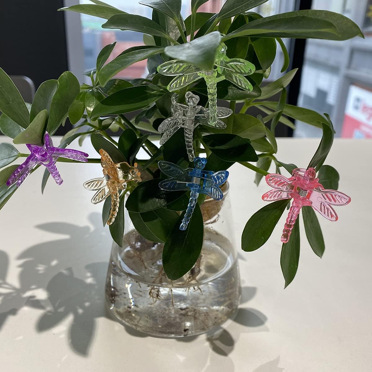 30Pcs Colorful Dragonfly Orchid Clips, Garden Plant Vine Support Clips Flower Clips-VerdiqueGarden