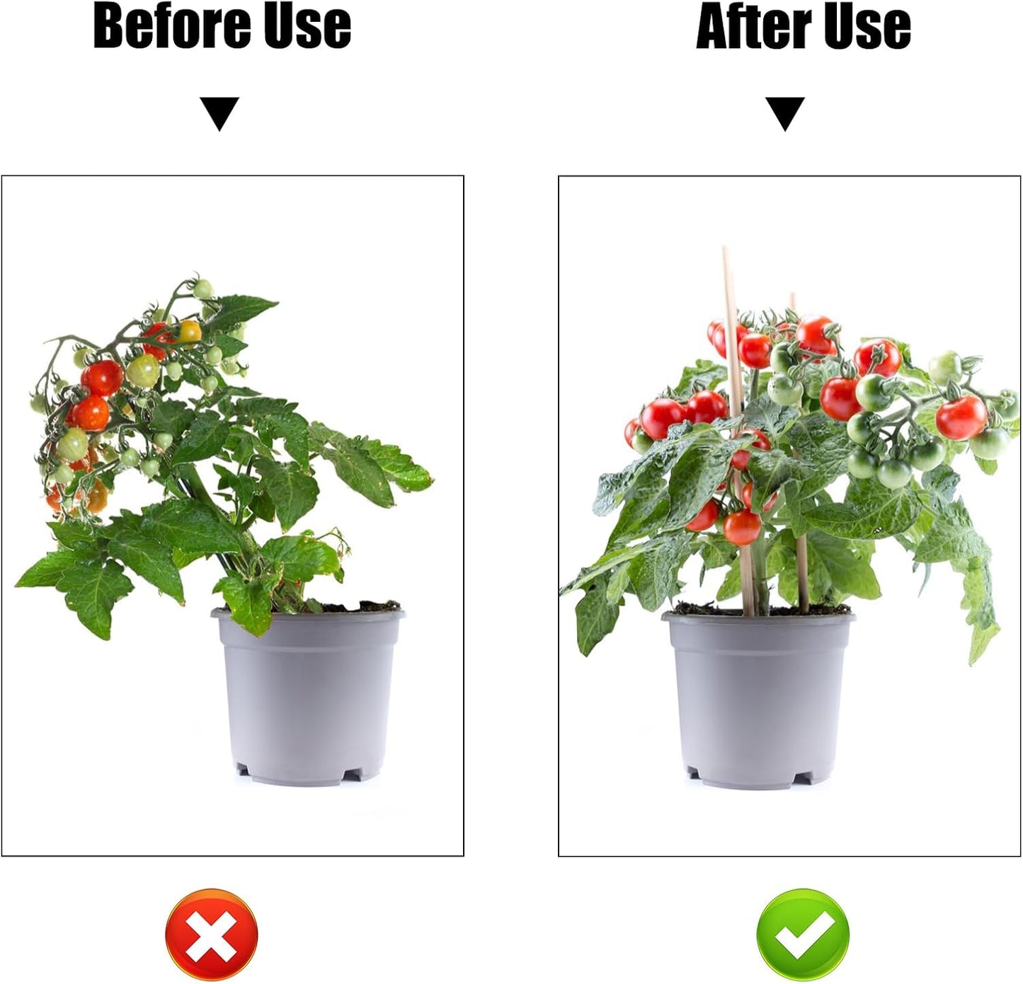 AccEncyc 50 Pcs Large Plant Clips Orchid Clips Plant Orchid Support Clips Flower Vine Clips for Supporting Stems Vines Stalks Climbing Plants Grow Upright-VerdiqueGarden