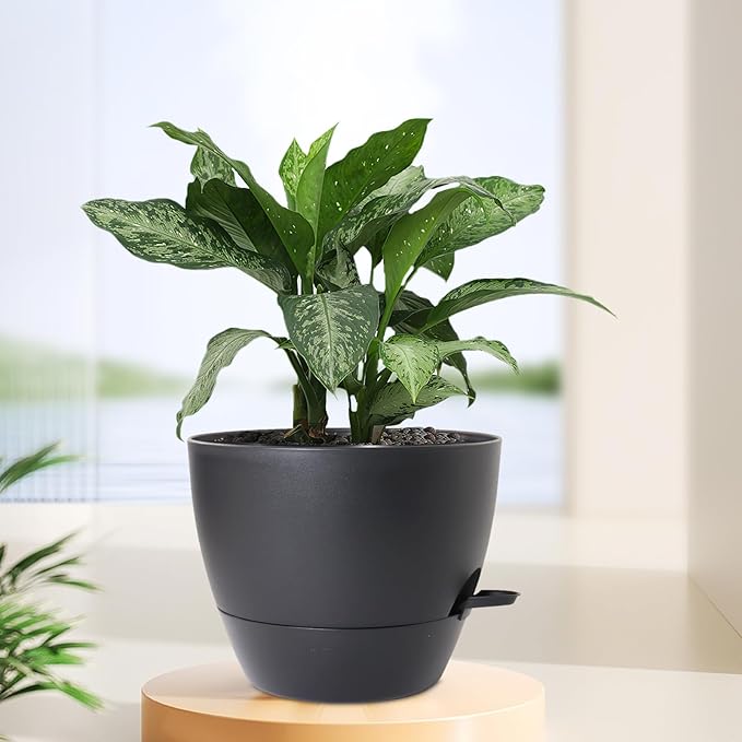 12 inch Large Self Watering Pots for Indoor Outdoor Plants, Flower Plant Pots with Mesh Drainage Holes for Garden House, Plastic Planters with Reservoir for Home Decor, Black-VerdiqueGarden