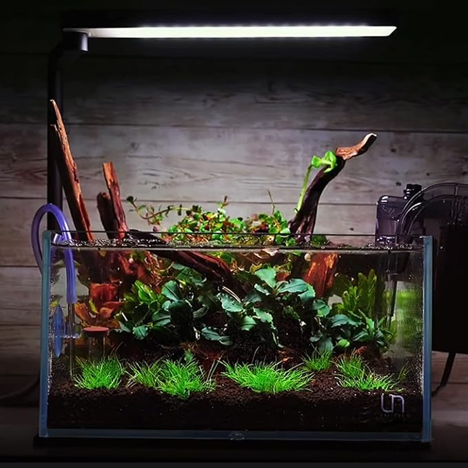 majoywoo Natural Small Coral Driftwood for Aquarium Decor Fish Tank Decorations, Assorted Driftwood Branch 4.5-7.5" 5 Pcs, Reptile Decor