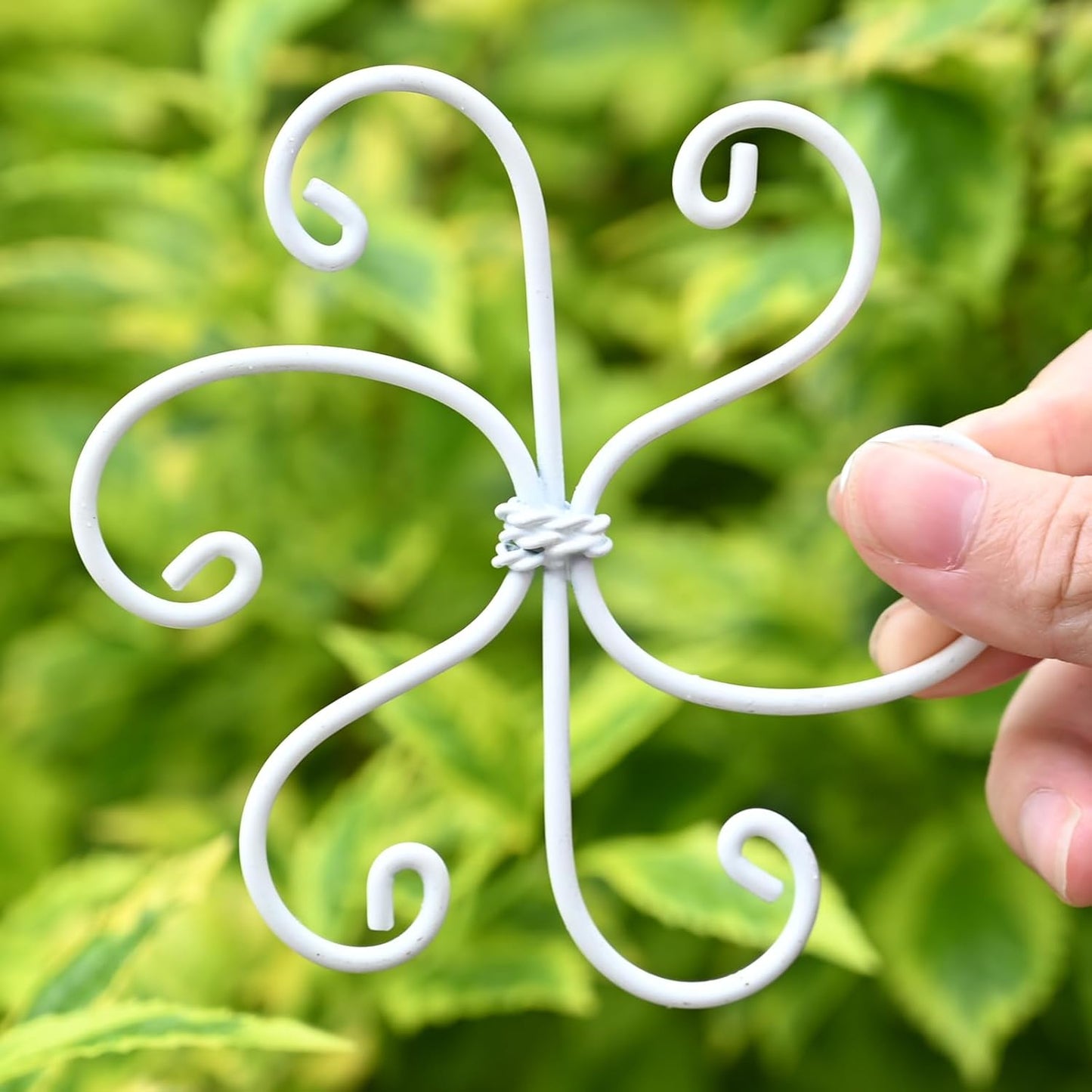 5PCS Monstera Plant Support Hook White 4.1 * 4.1 Inch – Set of 5 Durable Metal Stem Stabilizer Clips & Soft Grip Leaf Holders for Healthy Growth of Monstera & Fishbone Cactus-VerdiqueGarden