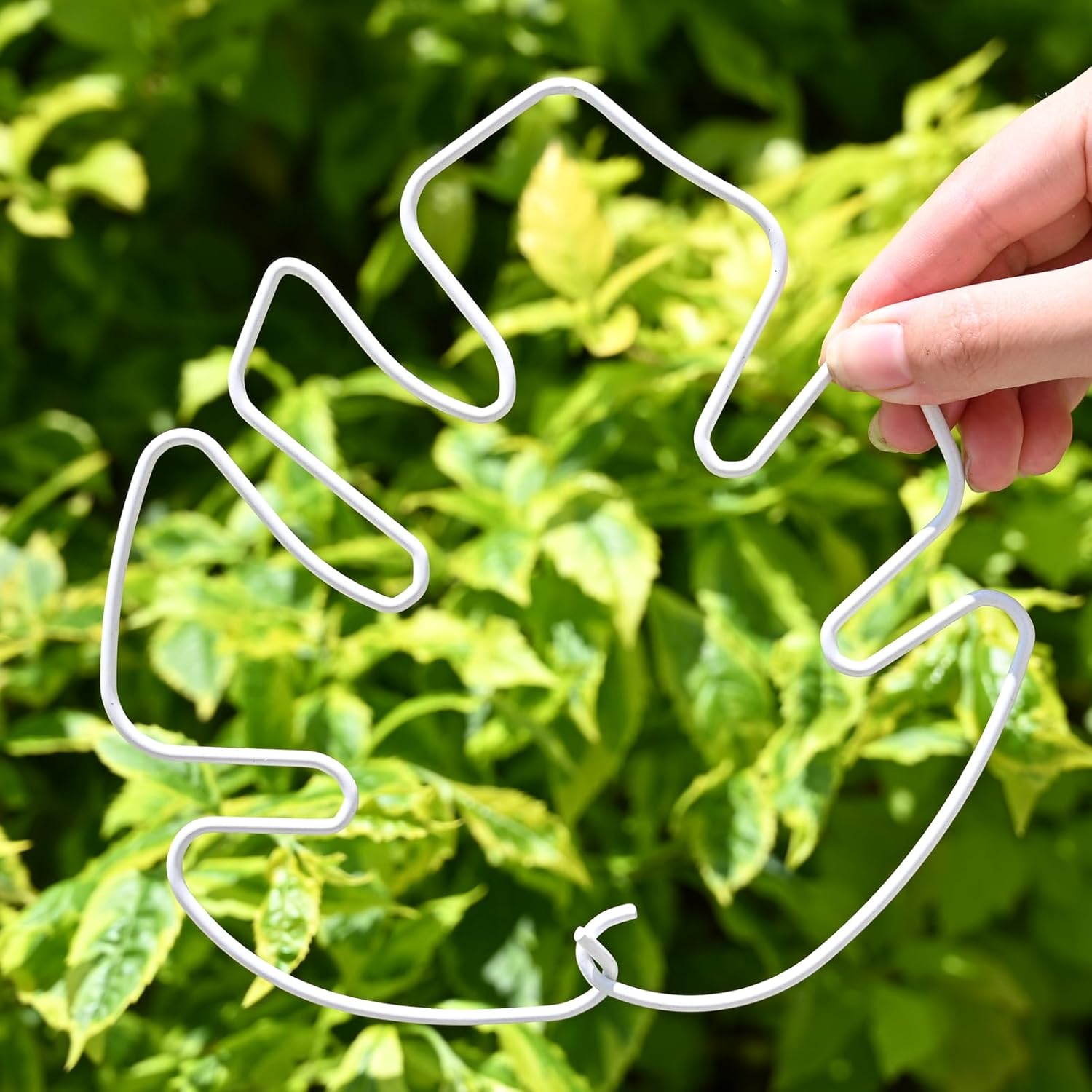 White Monstera Plant Stem Support - 5PCS 7.3x6.25in Durable Adjustable Garden Stake for Indoor Plants, Fishbone Cactus Holder, Innovative Leaf Clip Set, Ideal Tool for Healthy Plant Growth-VerdiqueGarden