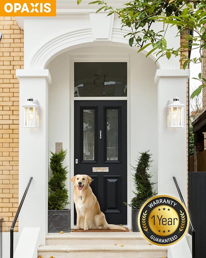 White Motion Sensor Light Outdoor, 2 Pack Dusk to Dawn Outside Lights for House, Anti-Rust Exterior Light Fixture, Waterproof Porch Light for House, Garage, Balcony, Weather Resistant-VerdiqueGarden