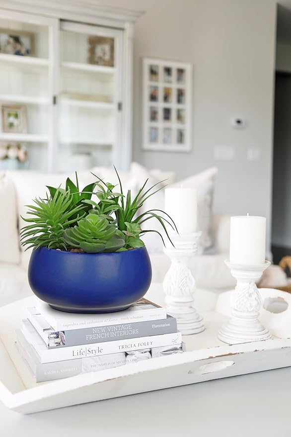 Fake Plants Artificial Succulents in Pots Faux Succulent Arrangement Potted Plant in Blue Ceramic Planter Bowl for Home Decor Office Desk Bathroom Shelf Living Room Indoor Decorations-VerdiqueGarden