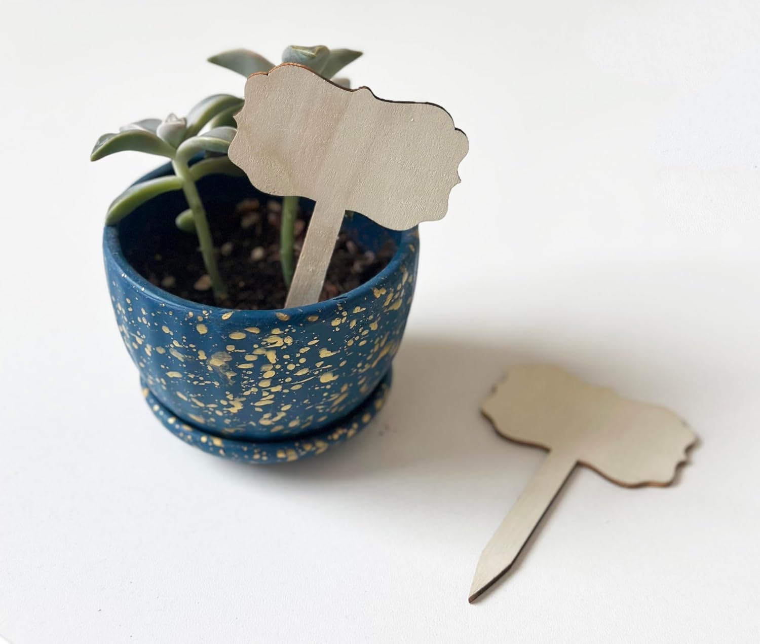 100 Pcs Wood Plant Labels, Natural Wooden Plant Marker Garden Sign Tags, T-Type Garden Markers for Succulents, Herbs, Seedlings, Potted, Flowers, Vegetables (Polygon)-VerdiqueGarden