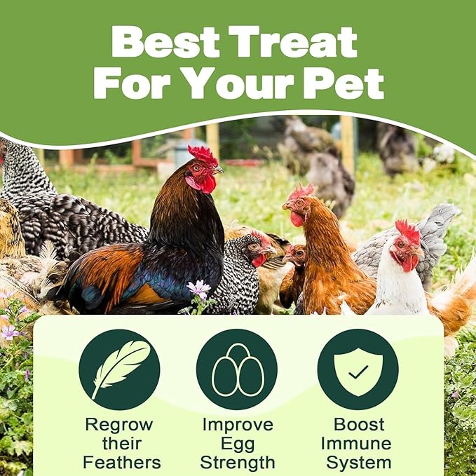 20LB Dried Black Soldier Fly Larvae, 86X Calcium Than Dried Mealworms, High Protein Non-GMO Organic Chicken Feed-VerdiqueGarden