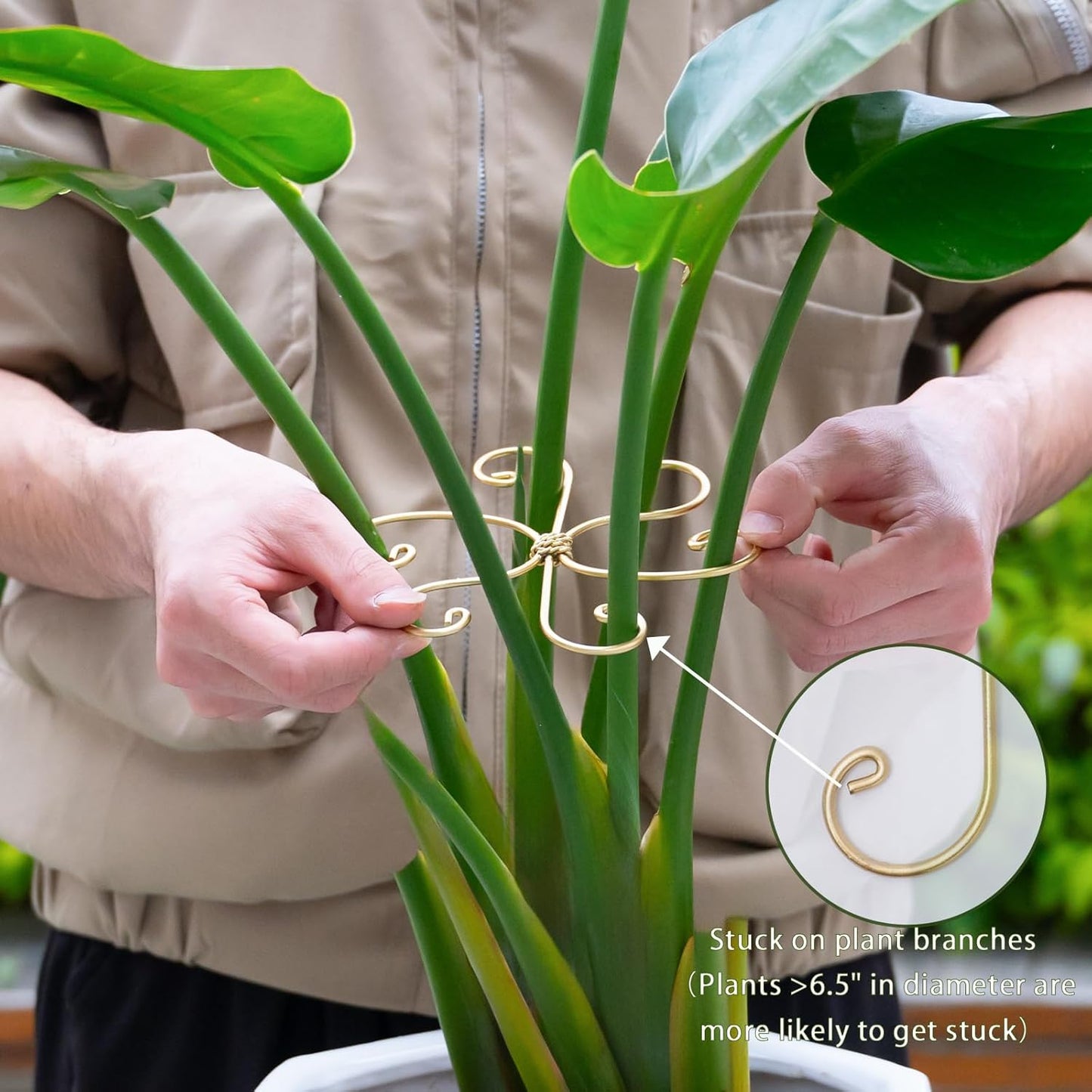 6.5IN Monstera Plant Support Hook 5PCS Durable Stem Stabilizer for Indoor Plants | Easy Setup 5-Piece Set Ideal for Turtle Shell Leaf Support Ideal Present for Plant Lovers & Home Garden Décor-VerdiqueGarden
