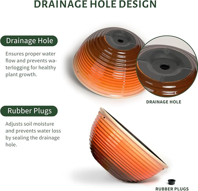 10 Inch Hanging Planter, 2 Pack Hanging Planters for Indoor Outdoor Plants Self Watering Hanging Pots with Drainage Holes for Garden Home-VerdiqueGarden