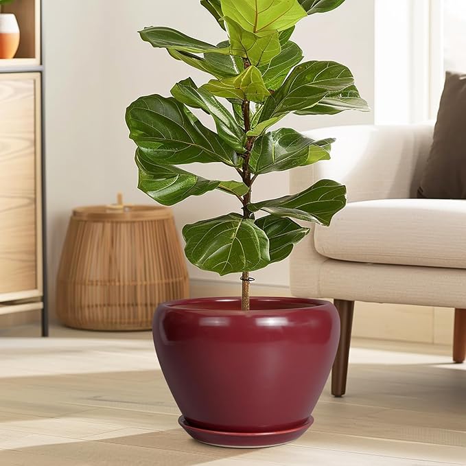 10 Inch Plant Pot - Ceramic Planter Pot with Drainage Hole and Saucer Large Planter for Indoor Plants Round Outdoor Flower Pot Mid-Century Decor Red-VerdiqueGarden
