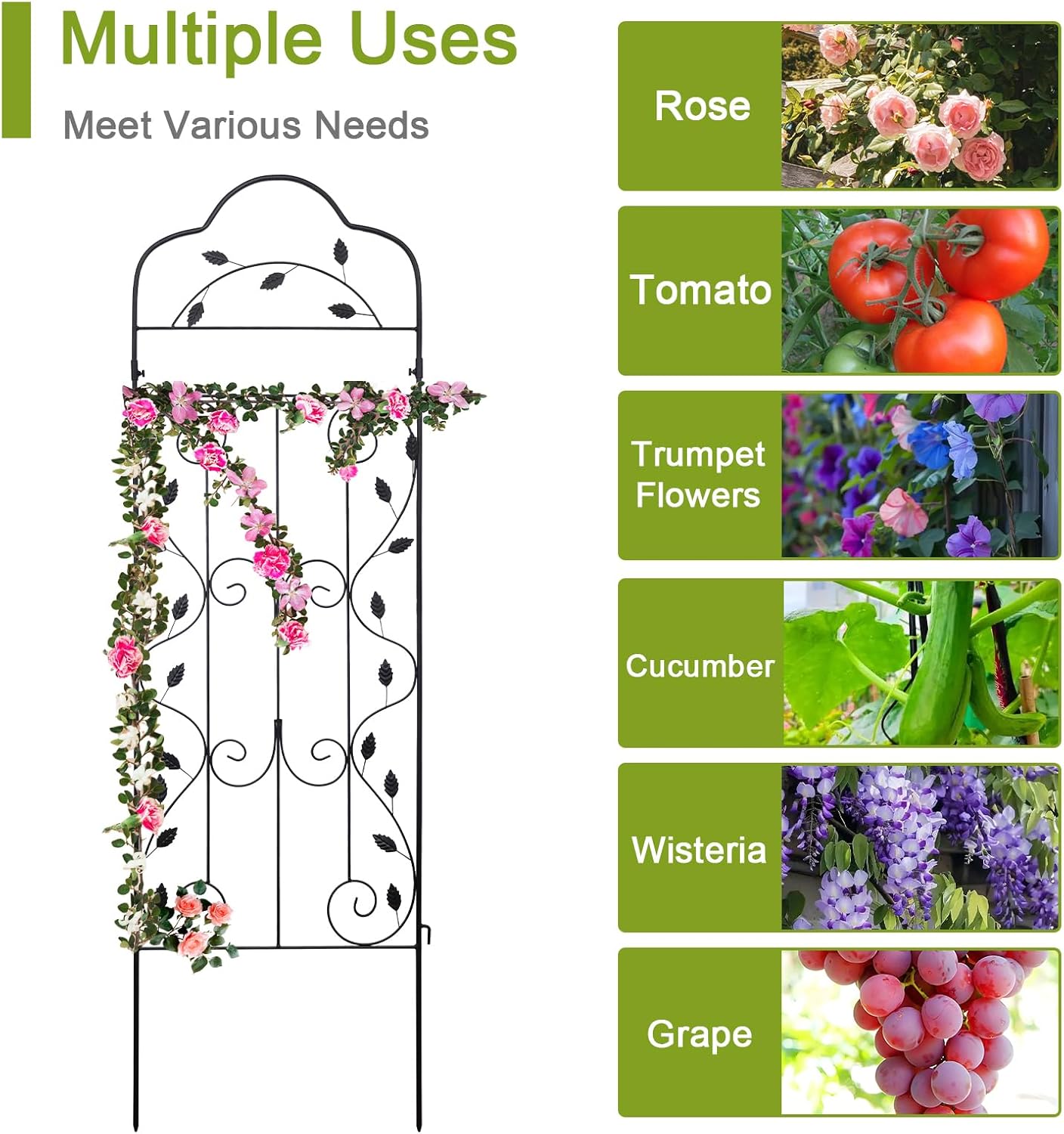 hogardeck Metal 60 * 18in Garden Trellis 2-Packs for Climbing Plants Flowers Vegetables Planting Arched Outdoor Decoration for Courtyards Lawns Gardens-VerdiqueGarden