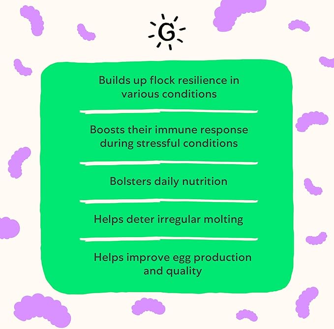 Grubbly Farms Vitamins + Electrolytes Water Supplement for Chickens (30 Day)-VerdiqueGarden