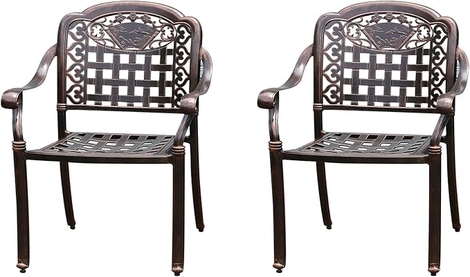 Outdoor Dining Chair Cast Aluminum Patio Chairs Set of 2 All-Weather Patio Dining Chair with Adjustable Feet for Backyard Garden (Positive Lattice Landscape Chair)-VerdiqueGarden