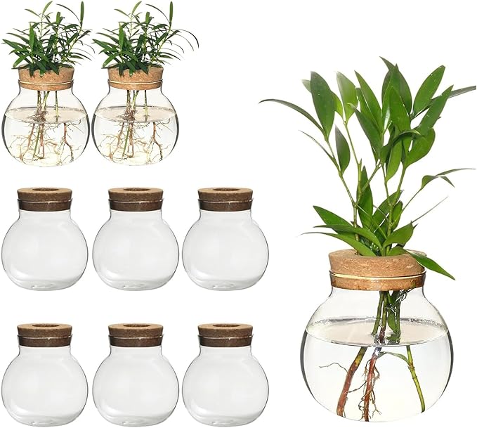 Plant Propagation Station,Hydroponic Terrarium Vase,Desktop Glass Planter Station,for Houses,Garden Decorations,ropagating Hydroponic Plants,Centerpiece Office,Home Garden Decor (9)-VerdiqueGarden